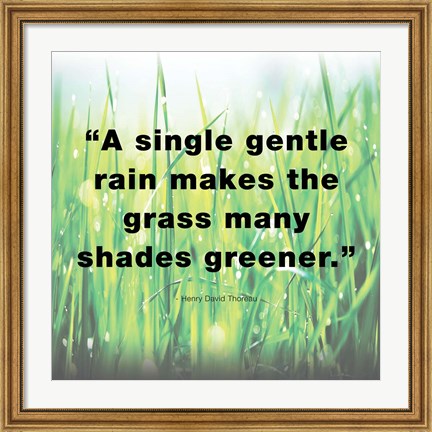 Framed Single Gentle Rain - Henry Thoreau Quote (Light) Print