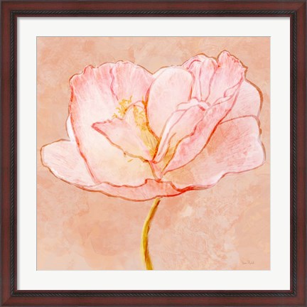 Framed Sweet Peach Poppy III Print