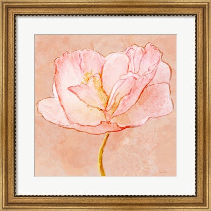 Framed Sweet Peach Poppy III Print