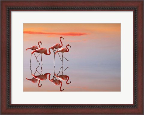 Framed Flamingos Family Print