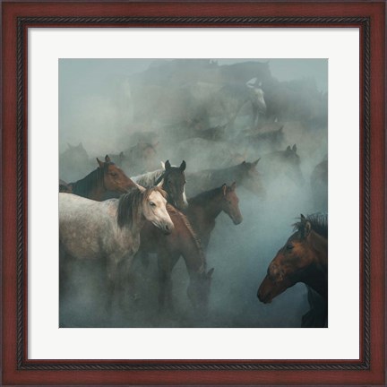 Framed Lost Horses Print