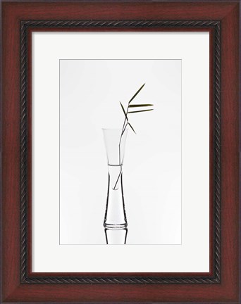 Framed Bamboo Print