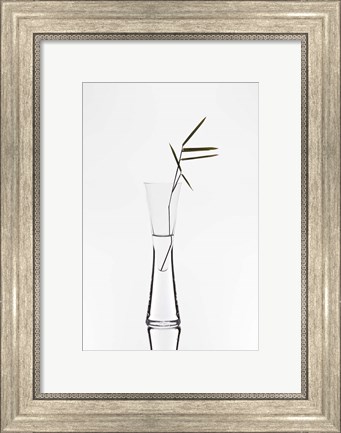 Framed Bamboo Print