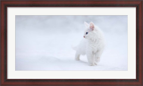 Framed White As Snow Print