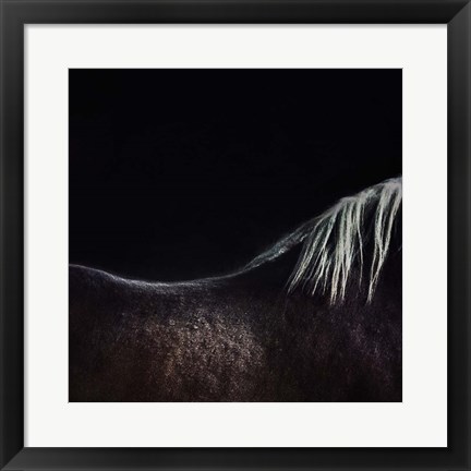 Framed Naked Horse Print