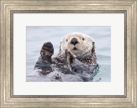 Framed Yesterday I Caught A Fish This Big! - Otter, Alaska Print