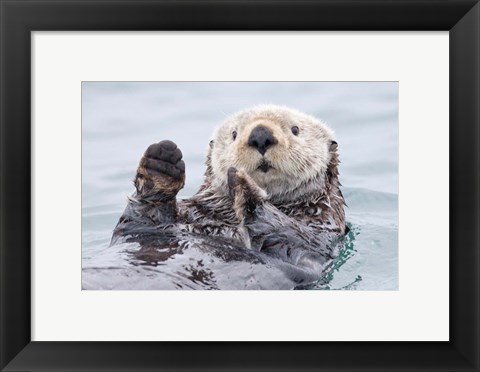 Framed Yesterday I Caught A Fish This Big! - Otter, Alaska Print