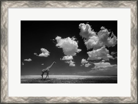 Framed Gone With The Clouds Print
