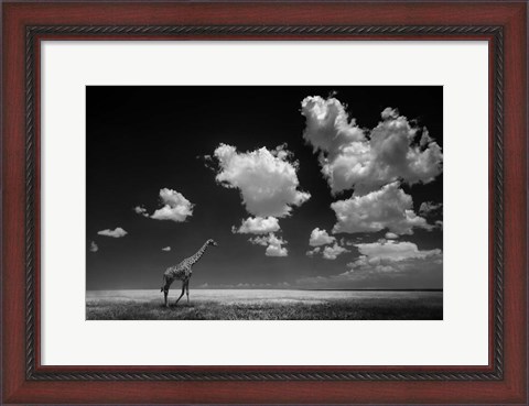 Framed Gone With The Clouds Print