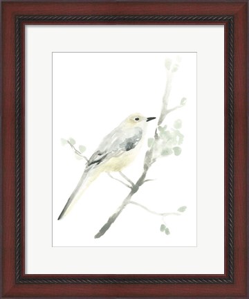Framed Avian Impressions II Print