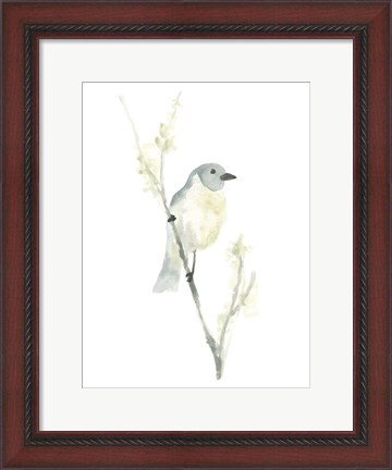 Framed Avian Impressions III Print