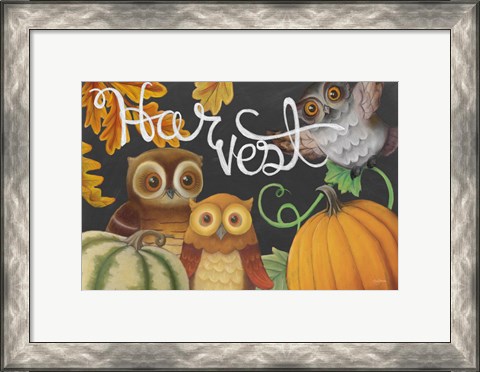 Framed Harvest Owl IV Print