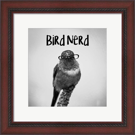 Framed Bird Nerd - Hummingbird Print