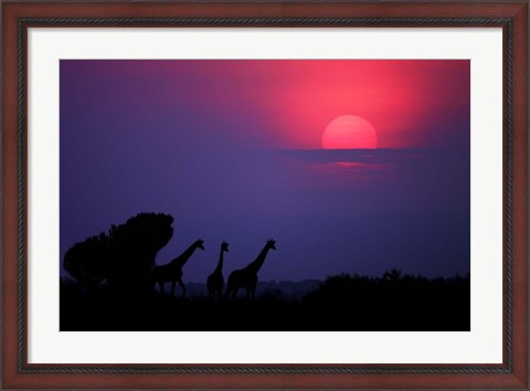 Framed Sunrise In Uganda Print