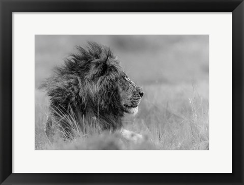 Framed King Is Alone Print