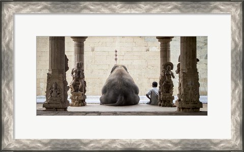 Framed Elephant &amp; Its Mahot Print