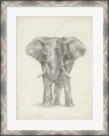 Framed Elephant Sketch II Print