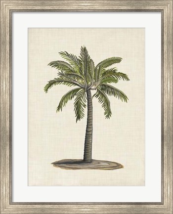 Framed British Palms I Print