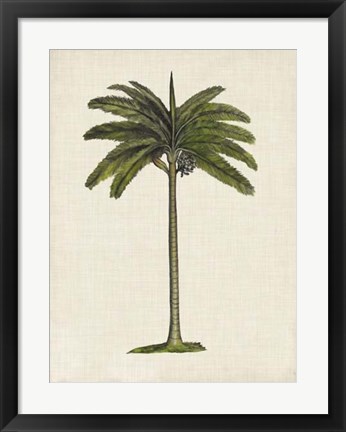 Framed British Palms IV Print