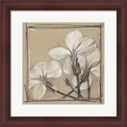 Framed White Floral Study IV Print