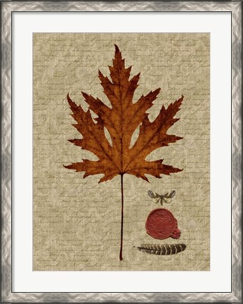 Framed Autumn Leaf I Print