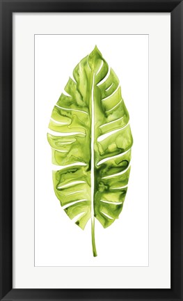 Framed Banana Leaf Study I Print