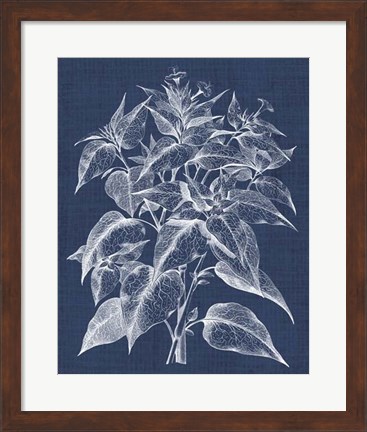 Framed Foliage Chintz III Print