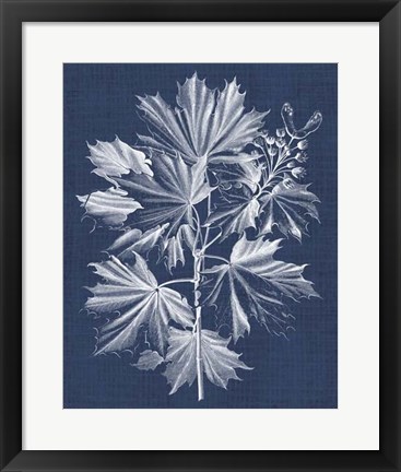 Framed Foliage Chintz V Print