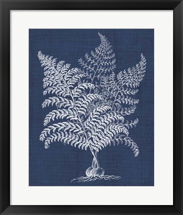 Framed Foliage Chintz VI Print