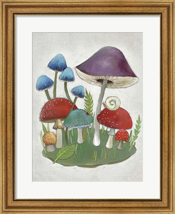 Framed Mushroom Collection II Print