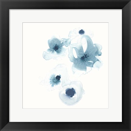 Framed Protea Blue III Print