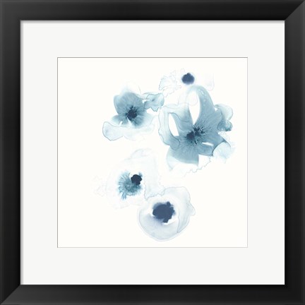 Framed Protea Blue III Print