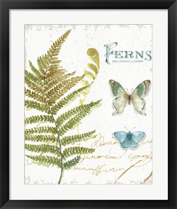 Framed My Greenhouse Botanical III Print