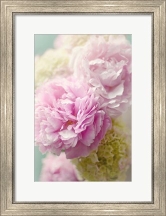 Framed Soft Pink Blooms Print