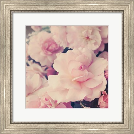 Framed Pink Blossoms I Print