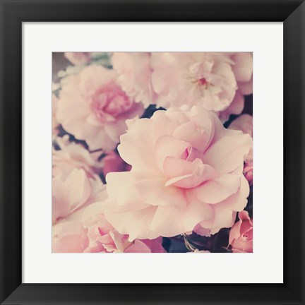 Framed Pink Blossoms I Print