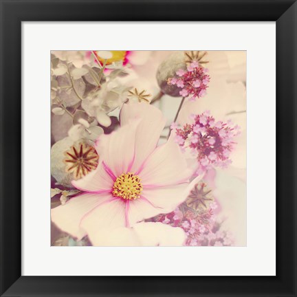 Framed Pink Blossoms II Print