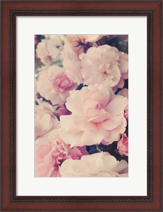 Framed Pink Blossoms I Print