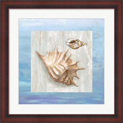 Framed From the Sea III Print