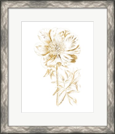 Framed Gilded Botanical VIII Print