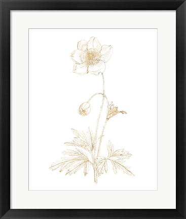 Framed Gilded Botanical II Print
