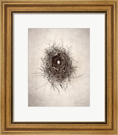 Framed Nest I Print
