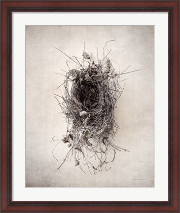 Framed Nest II Print