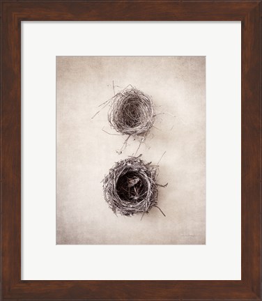 Framed Nest IV Print