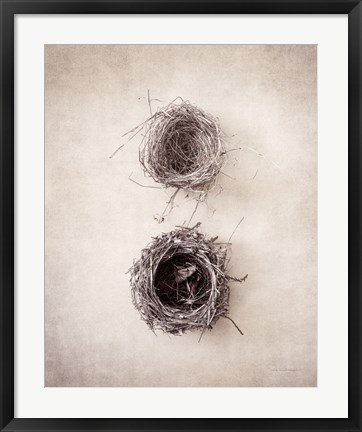 Framed Nest IV Print