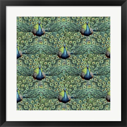 Framed Royal Peacock Pattern Print