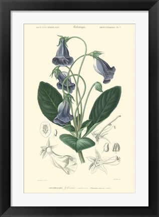 Framed Floral Botanique I Print