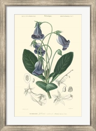 Framed Floral Botanique I Print