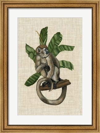 Framed Canopy Monkey I Print