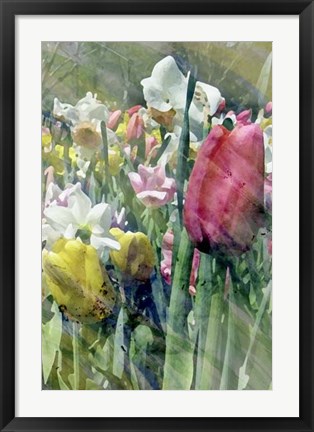 Framed Spring at Giverny III Print